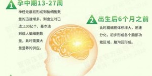 智倍佳藻油DHA—科学新配比，领航新选择！